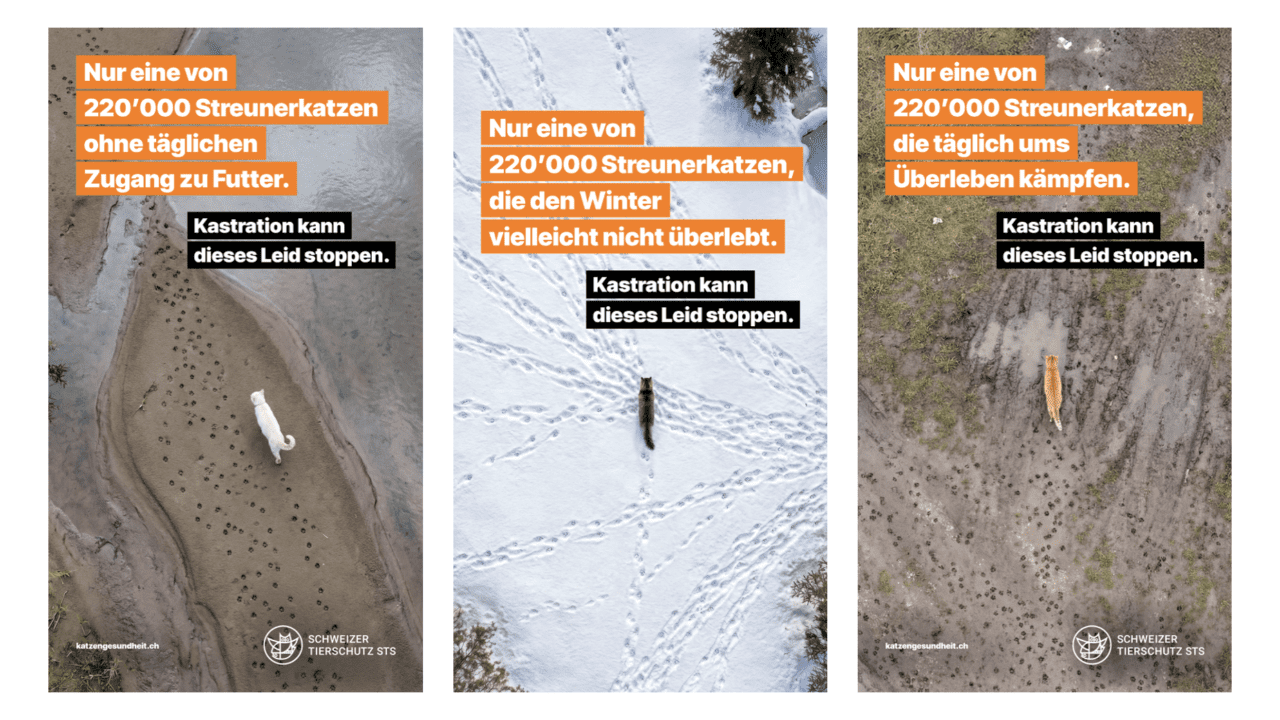 KKA_Übersicht Stills