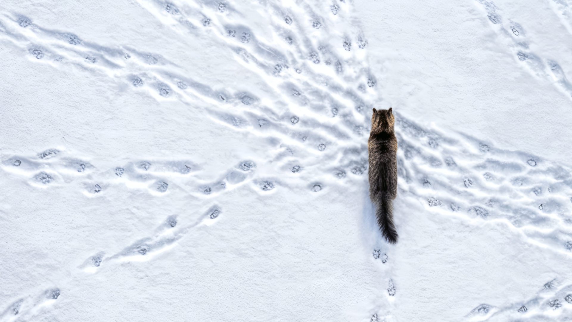 STS_Kampagne_NL_Bilder_2_spaltig_1160x500_Winter_3