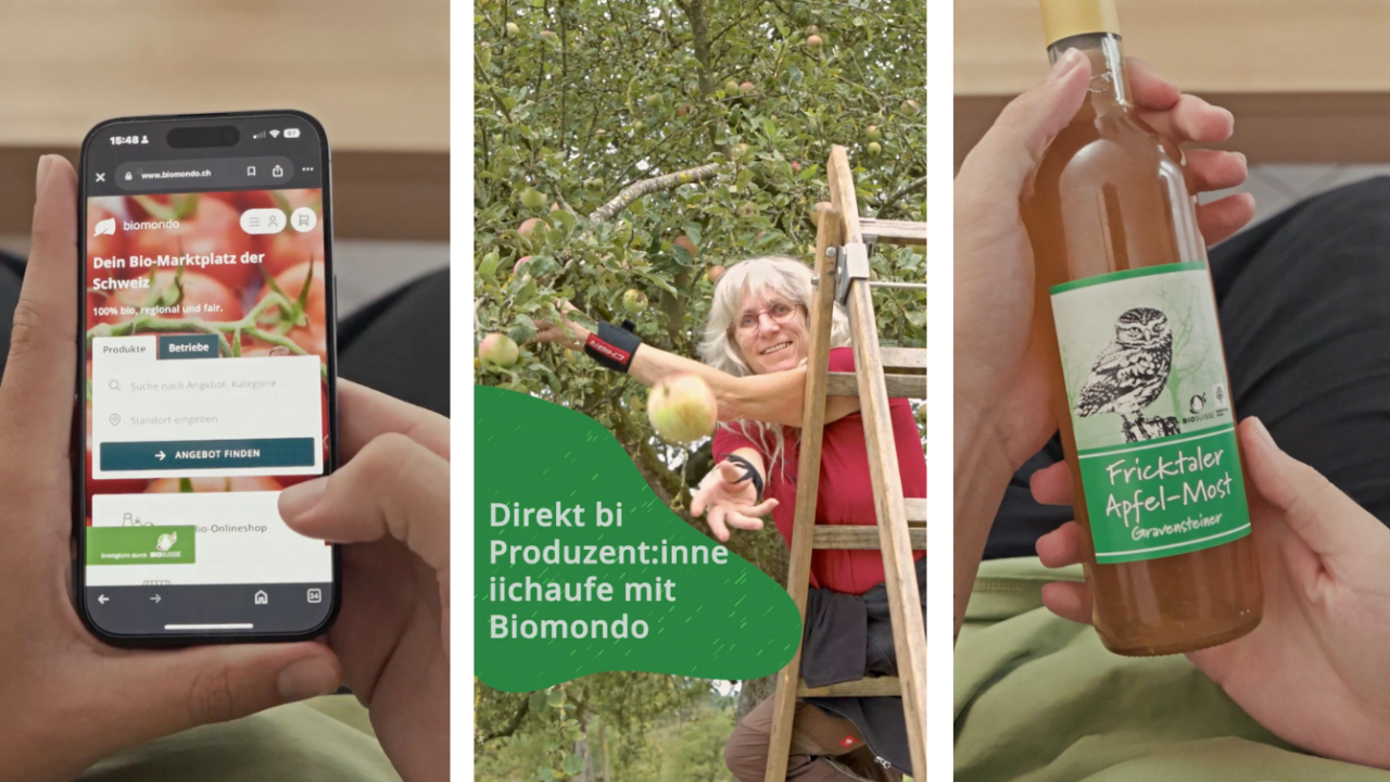 Werbemittel_DO_DE_2
